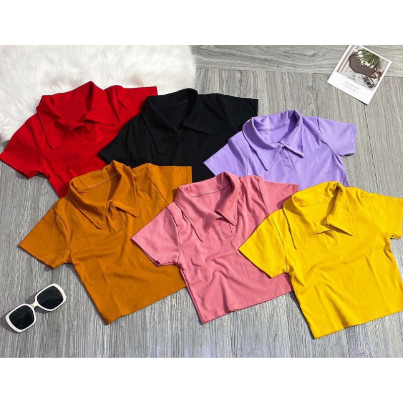 Âo cổ bẻ cloptop