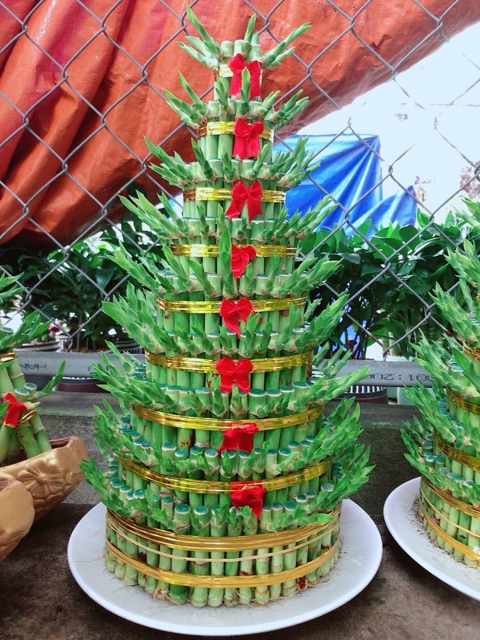 Trúc Phát Tài 9 Tầng Kèm Đĩa