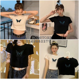 ÁO KIỂU NỮ - ÁO THUN CROPTOP THÊU HÌNH CÁNH BƯỚM XINH TRẮNG ĐEN