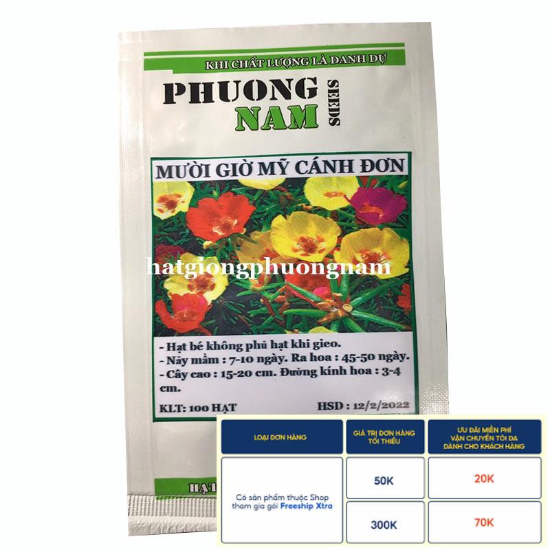 100H - HẠT GIỐNG HOA MƯỜI GIỜ MỸ CÁNH ĐƠN