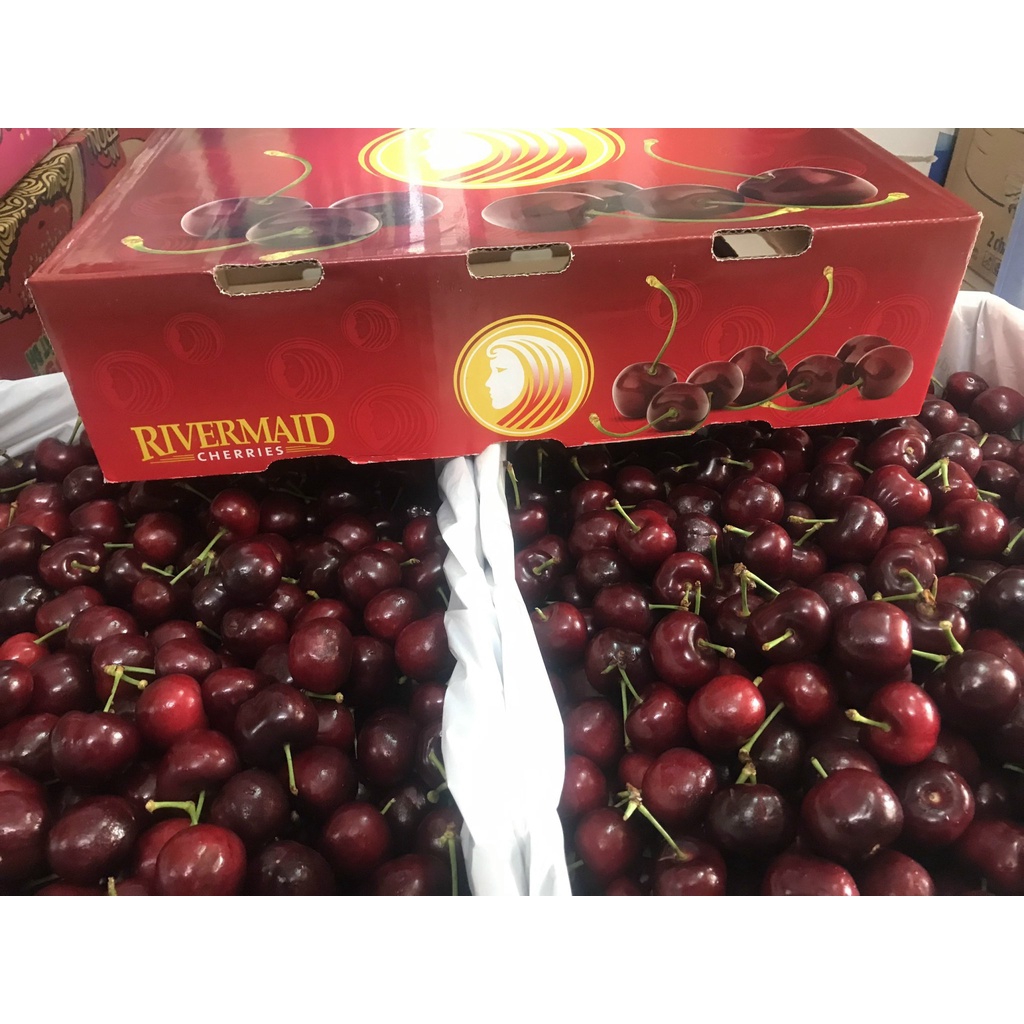 Cherry Mỹ đã vào mùa trái thơm ngọt ( hàng nhập khẩu)