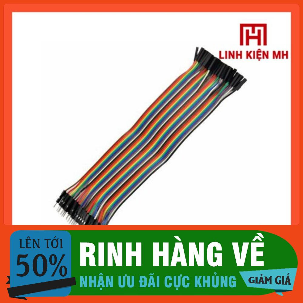 Dây Nối 40P 20CM Cắm Board Test, Câu Mạch