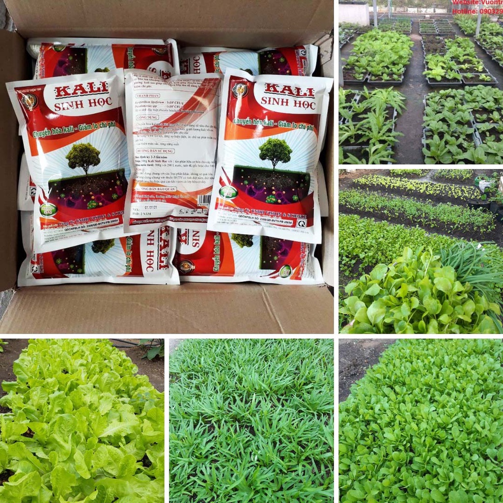KALI SINH HỌC 500gr Chuyển Hóa Kali  Tăng Cường Hấp thu, Tăng Độ Ngọt Của Trái