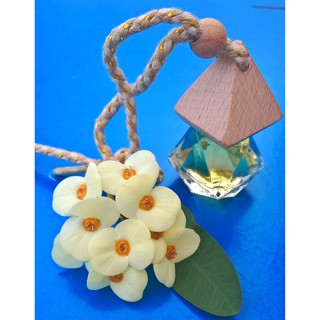 Tinh dầu treo (quế / bạc hà)