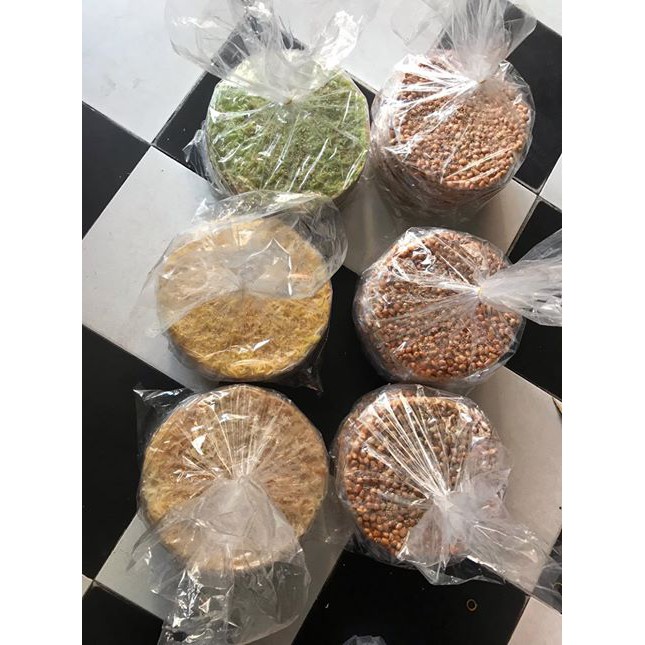 bánh tráng dừa PL đường kính 24cm [ ĐẶC SẢN PHÚ YÊN ] | BigBuy360 - bigbuy360.vn