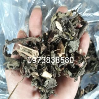 Cây bồ công anh (1 kg )