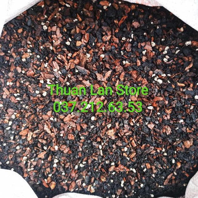 Túi 1kg Giá Thể Trộn Sẵn Vỏ Thông Trồng Lan, Sen Đá, Xương Rồng