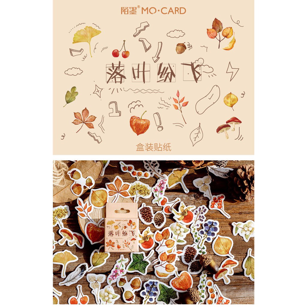 Bộ sticker/ Hình dán Kiểu Dáng Rừng Thông & Hạt Dẻ