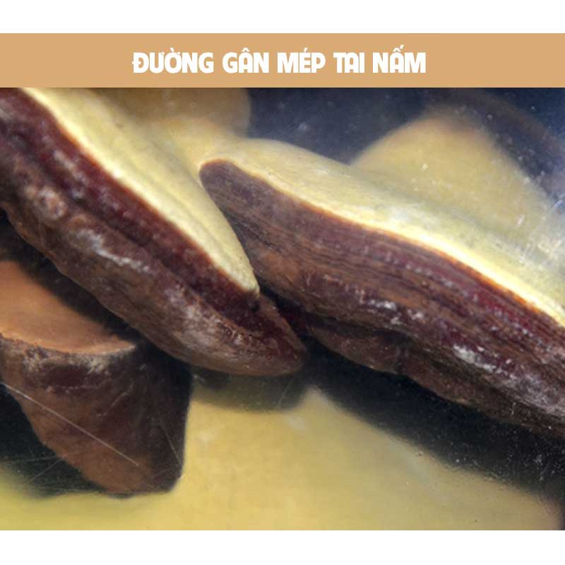 [CHÍNH HÃNG] Nấm linh chi bao tử Hàn Quốc, túi 1kg
