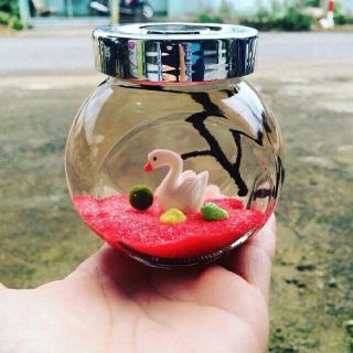 Set Tiny Tảo Cầu Nhật Bản - Marimo