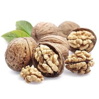 Kìm tách vỏ quả óc chó