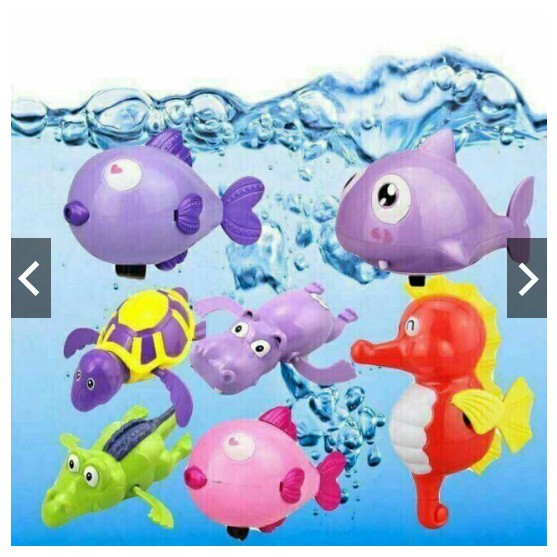 combo 15 con cá bơi trong bể kéo cót