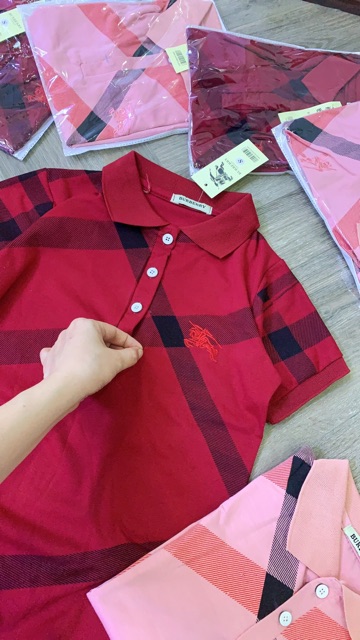 Áo thun sơ mi cổ đức BBR🥰có video🥰 | BigBuy360 - bigbuy360.vn