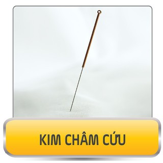 Kim châm cứu tuệ tĩnh