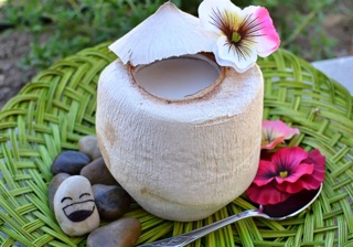 Bột thạch rau câu con cá dẻo gói 12g