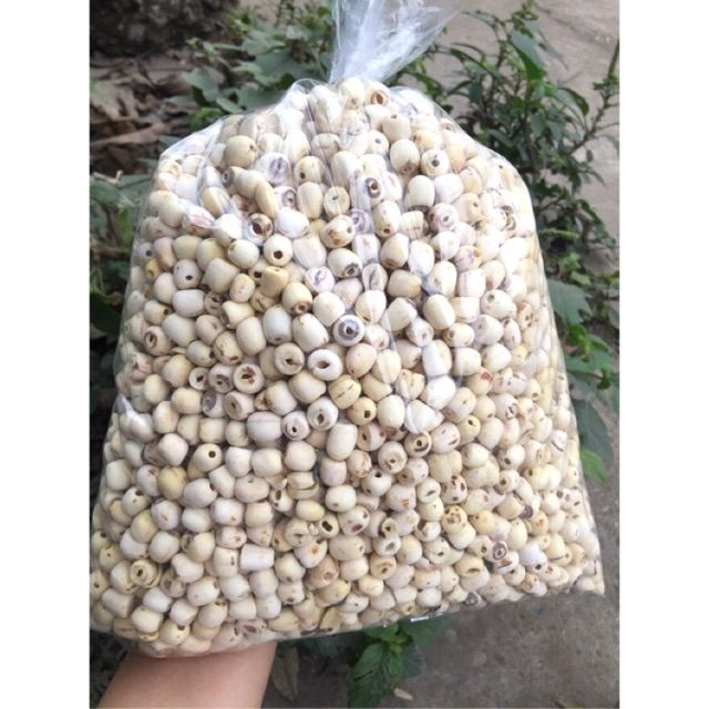 100 gr hạt sen khô