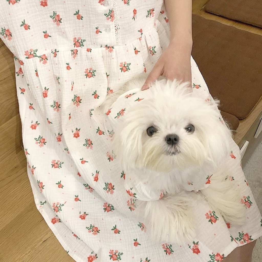 Đầm Sơ Mi Hoa Thời Trang Mùa Hè Xinh Xắn Dành Cho Cún Cưng