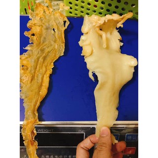 Bong bóng cá tuyết lớn