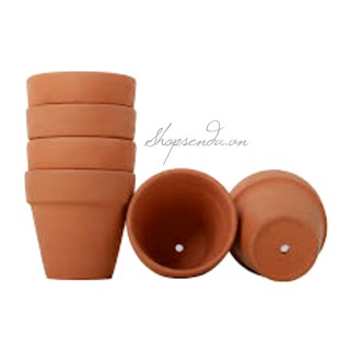 Combo 10 chậu đất nung mini dùng trồng cây 7cm