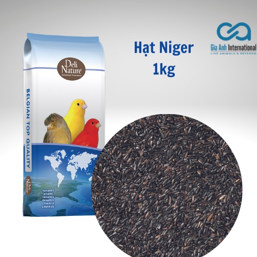 Hạt Niger Cung cấp dinh dưỡng cho các dòng chim ăn hạt - GÓI CHIẾT 1Kg