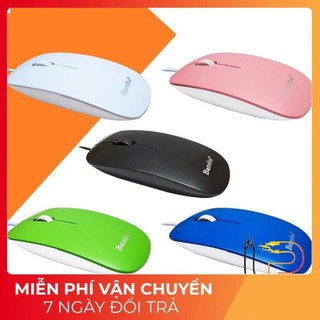 Chuột quang bamba b07 - mouse bamba b07