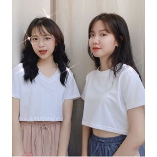 Áo Croptop CỔ TIM TRƠN 01 Nữ