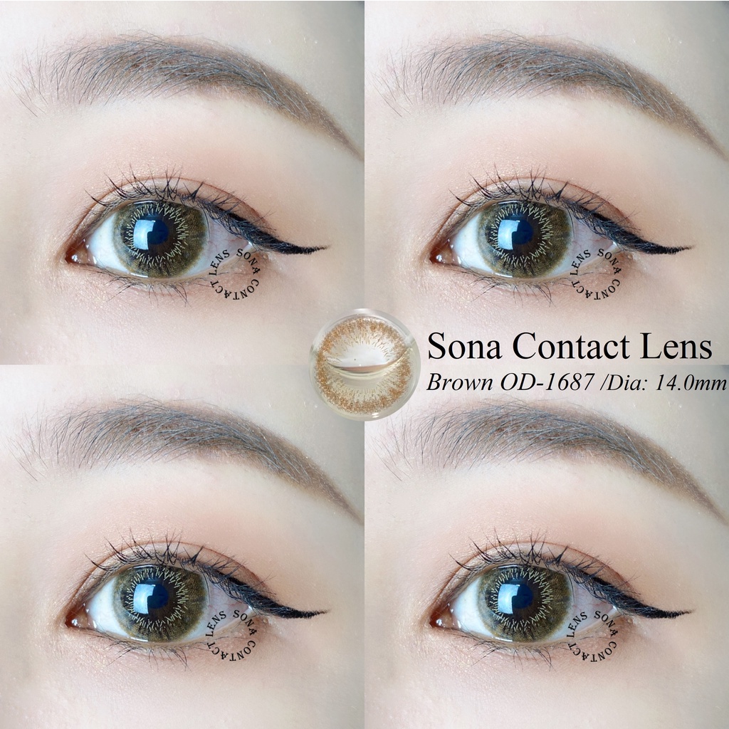 Lens Brown OD-1687 (kính áp tròng Sona Hàn Quốc)