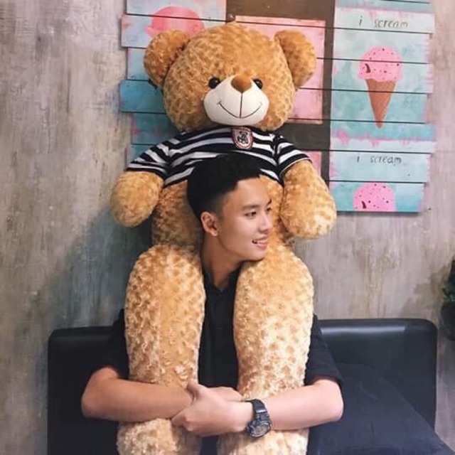 Gấu teddy màu vàng khói m6