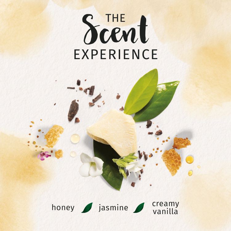 "Có BILL USA - Auth" BỘ DẦU GỘI & XẢ MẬT ONG - HERBAL ESSENCES BIO