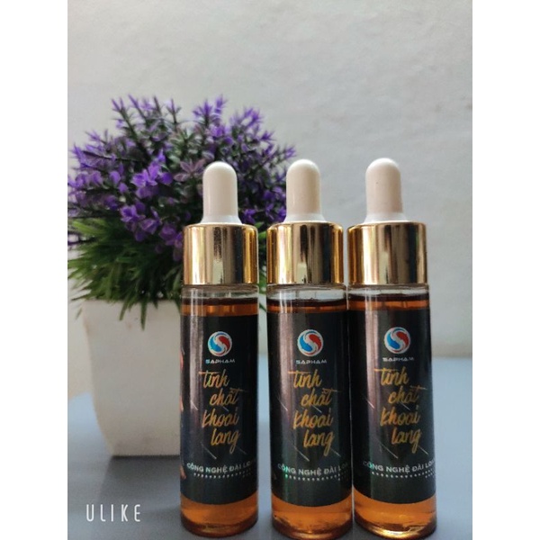 Tinh Chất Khoai Lang Sa Phạm - tinh mùi câu cá sa phạm mới siêu nhạy - NaHi shop