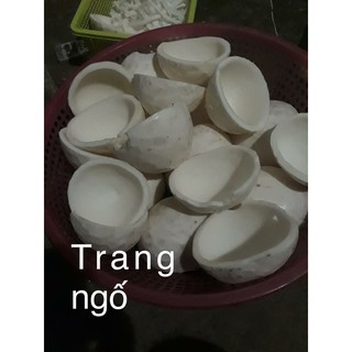 hạt đậu tương