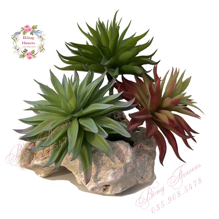 Hoa Giả - Hoa Sen Đá Nhiều Lớp Đường Kính Bông 14 cm