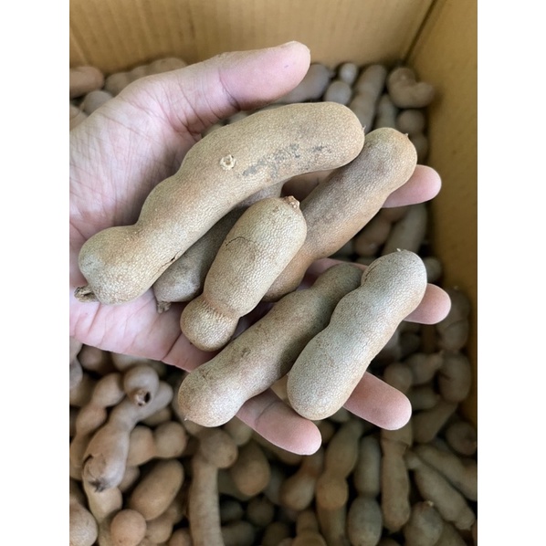 1kg Me Lào Còn Vỏ Chua Ngọt