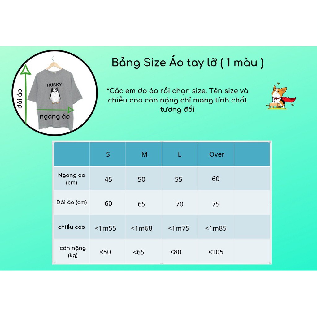 Áo Thun Nam Nữ Tay Lỡ Unisex Phông Trơn Oversize Form Rộng Basic Tee Hình 2 con corgi
