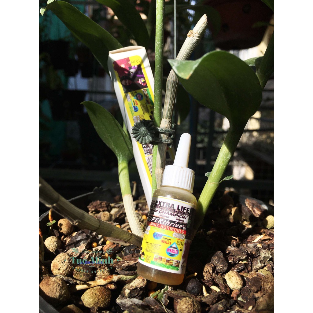 Sản phẩm tăng trưởng Superthrive cho phong lan lọ 10ml