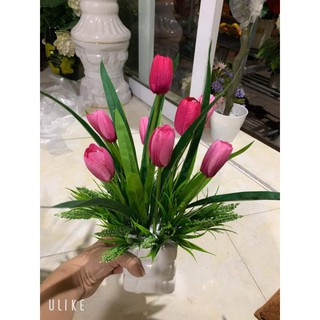 chậu hoa mini để bàn