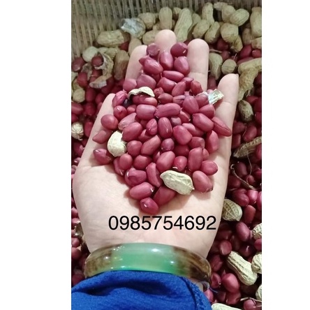 Lạc đỏ đặc sản Tây Bắc lạc bóc tay giòn ngon hạt mẩy to tròn chuẩn hàng loại 1