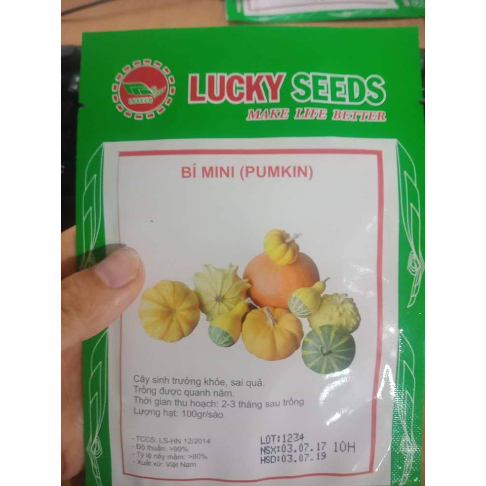 Bán buôn Hạt Giống Bí Mini nhều Màu ( 10 Hạt) bao đẹp