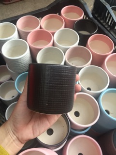 Chậu trồng cây 8cm