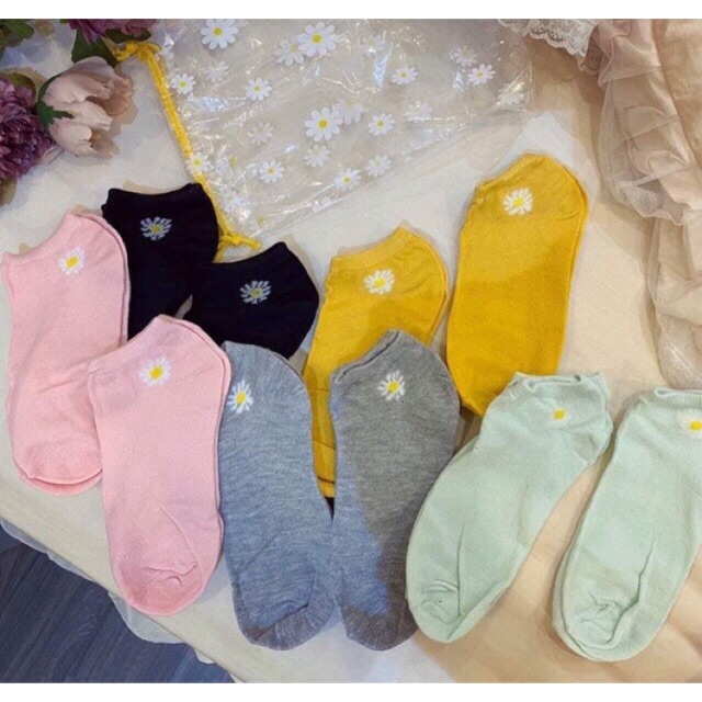 Tất Hoa Cúc 1 Set 10 Đôi (5 màu)  tặng kèm túi đựng hoa cúc cực đẹp