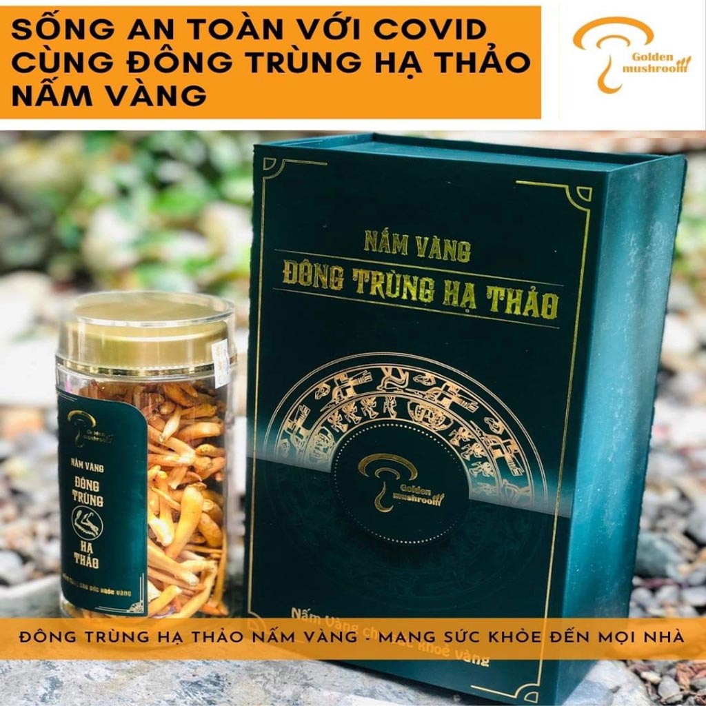 Đông trùng hạ thảo Nấm Vàng khô sợi to hộp 15G [Hàng Cao Cấp]