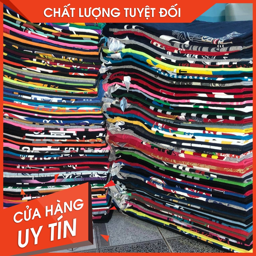 Áo thun mỹ 2HAND loại 1 đầy đủ size-Đã ủi chưa giặt-Nhập theo lô(Không lựa mẫu) [Mã SP: HN 0007]