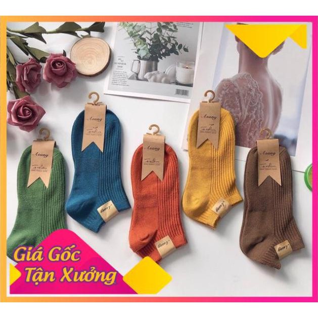 [SIÊU SALE] Set 10 Đôi Tất Len Gân Nữ Loại Mới Cao Cấp.