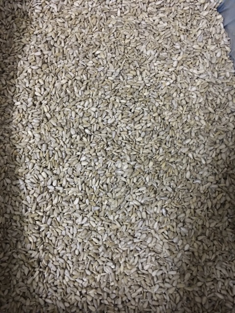 500g Nhân hướng dương Nga - nhân sống làm sữa
