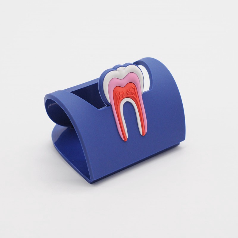 Dentist Lab Rubber Molar Shaped Name Card Holder Case Display Stand 6 Colors