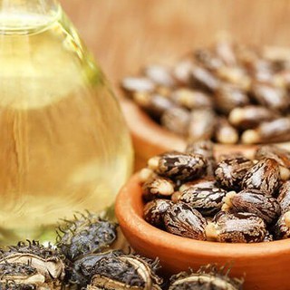 Dầu Thầu Dầu ( Castor Oil )