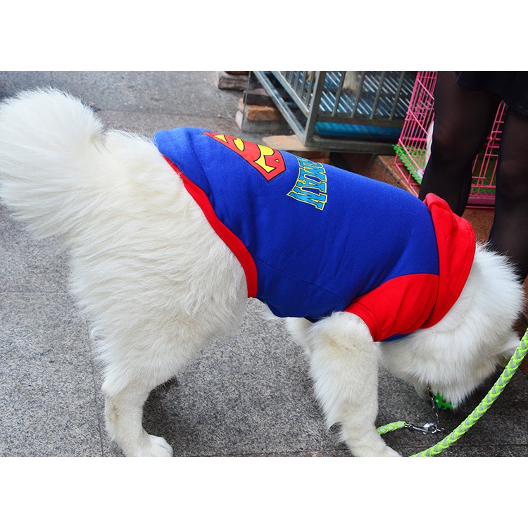 Áo cho chó lớn, đồ cho chó lớn mùa đông Superman nỉ hoddie
