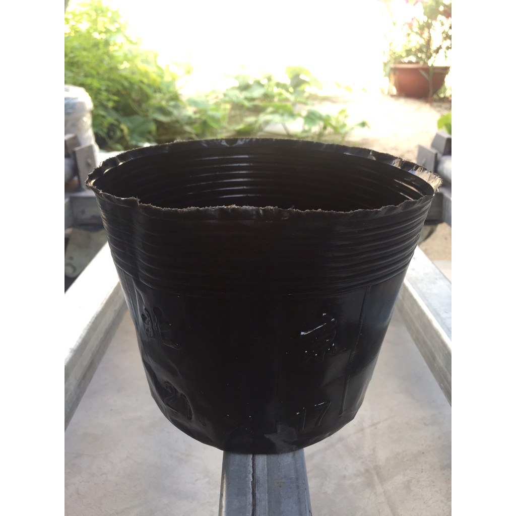 BẦU ƯƠM CÂY 21*17 ( DỊCH TRUYỀN CHO CÂY, KÍCH RỄ , MẦM CÂY XANH LÁ, LƯỚI CHE NẮNG...)