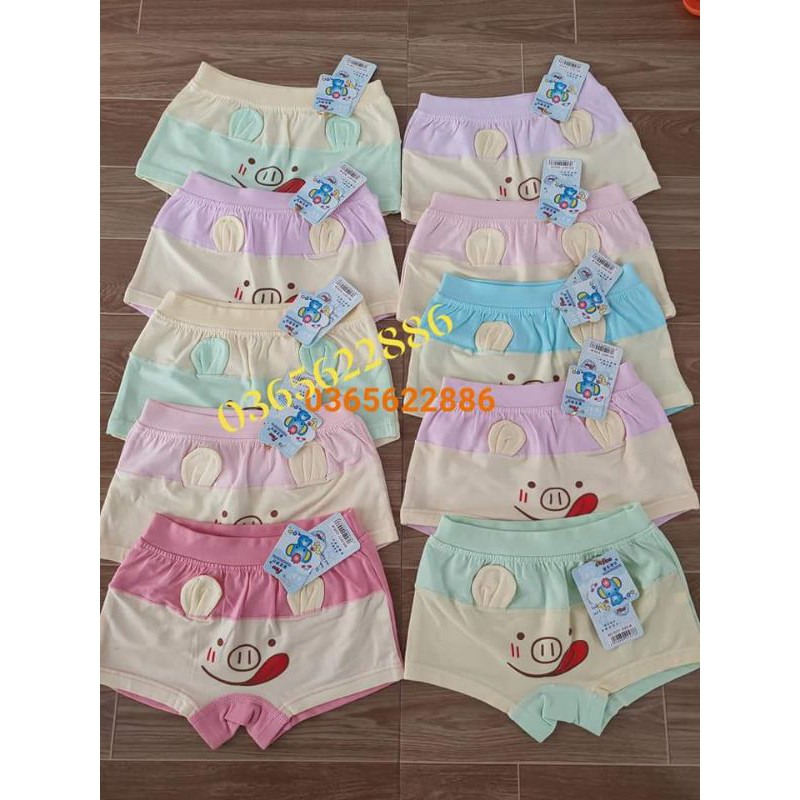 combo 10 quần chíp đùi tai heo bé