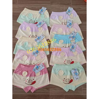 Combo 10 quần chíp đùi tai heo bé